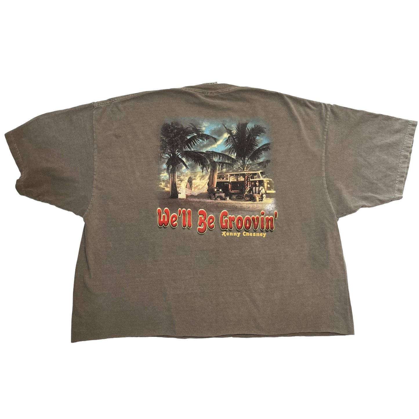 Cropped Vintage Kenny Chesney T (XL)