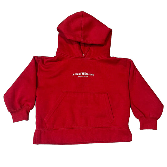 A Fresh Adventure Hoodie (Boys S)